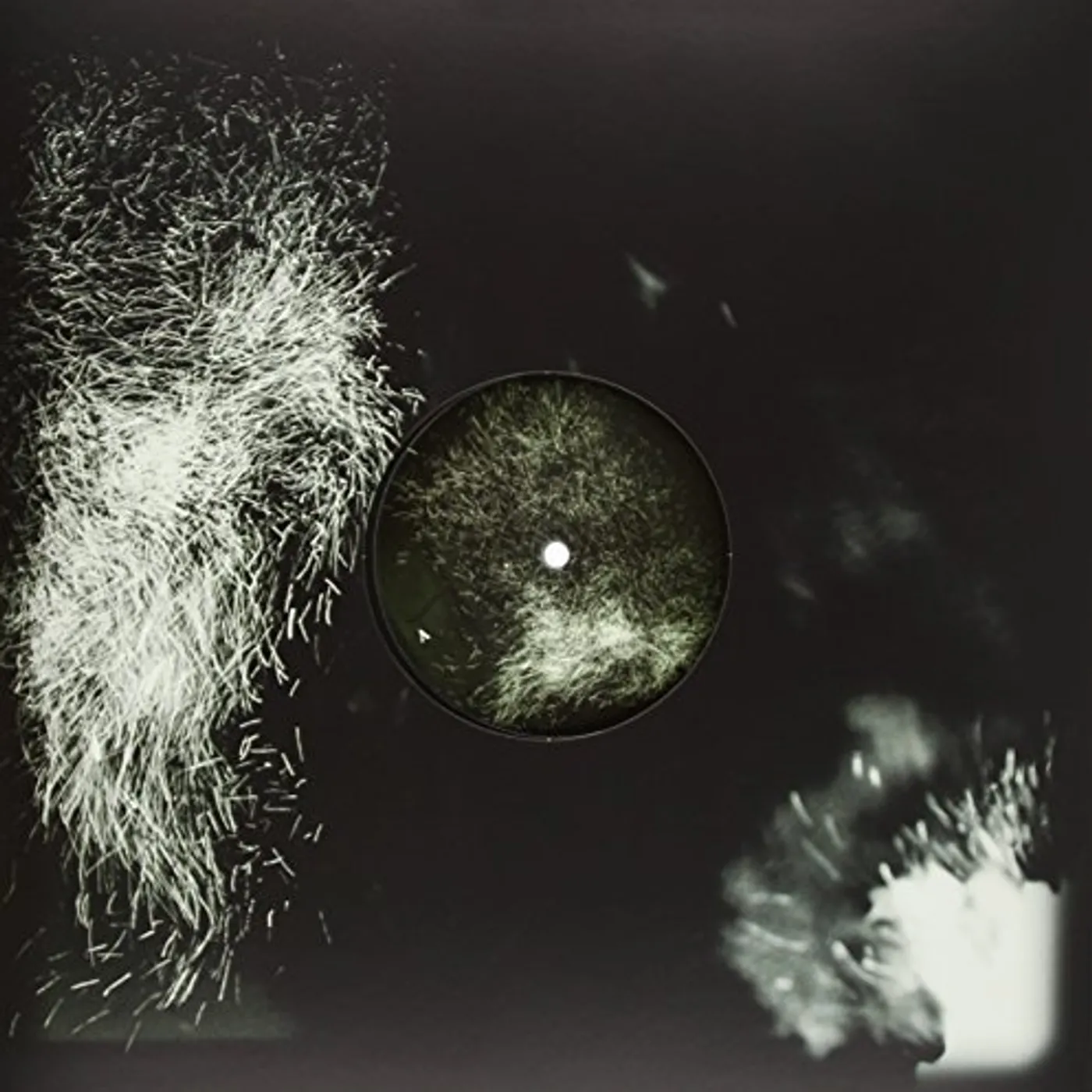 Fink Fall Into The Light / Pilgrim Vinyl Record