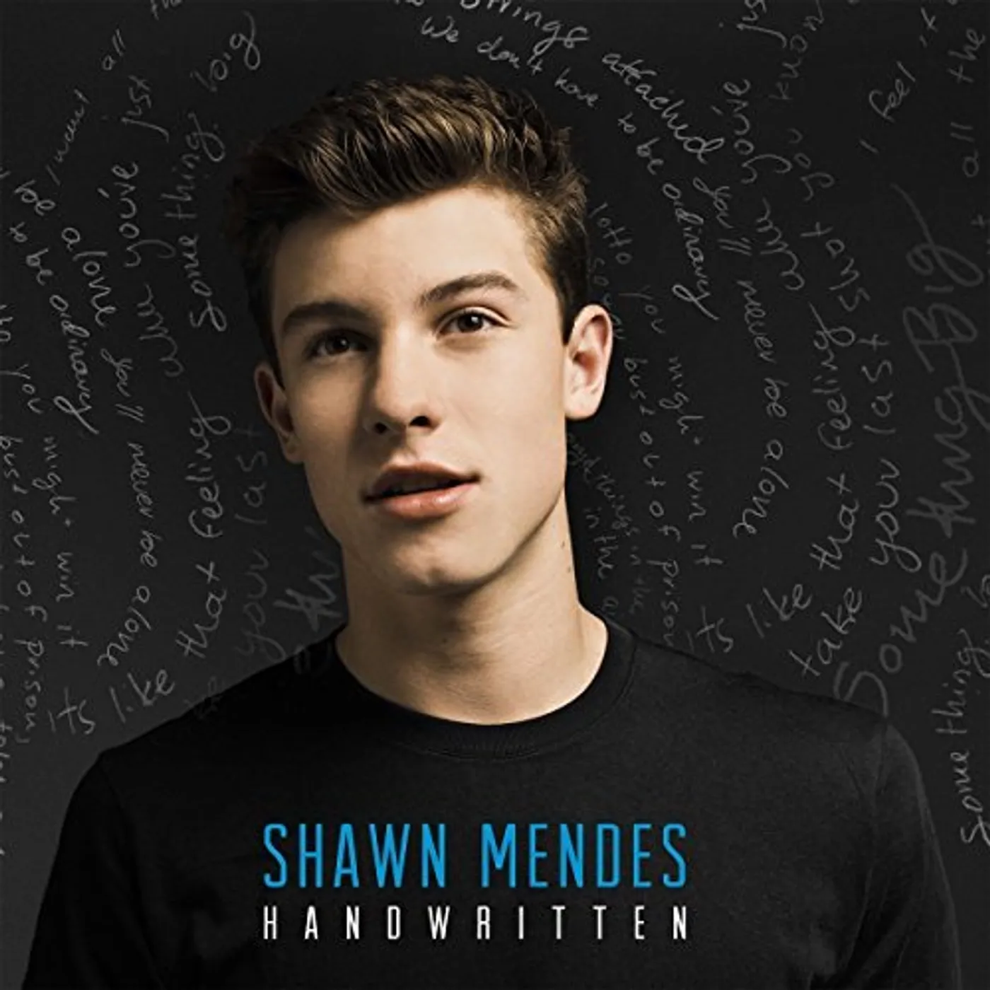 Shawn Mendes Handwritten Vinyl Record