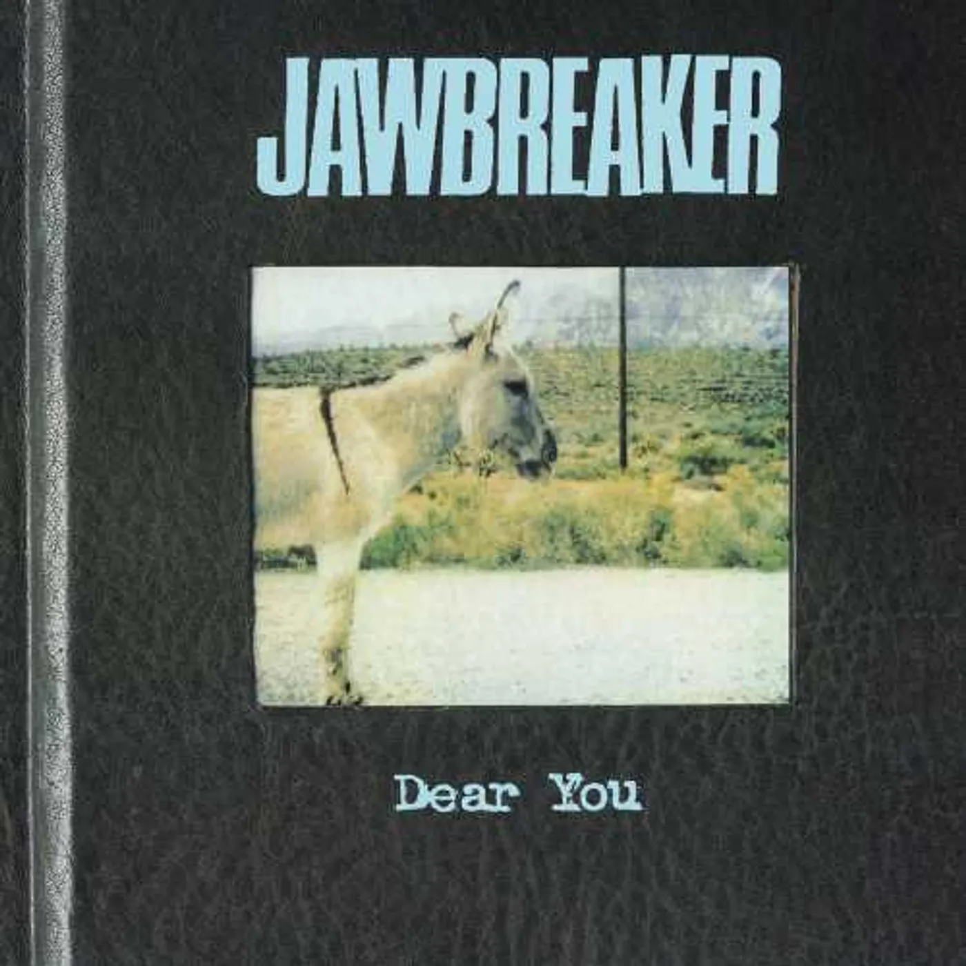 Jawbreaker Dear You Vinyl Record