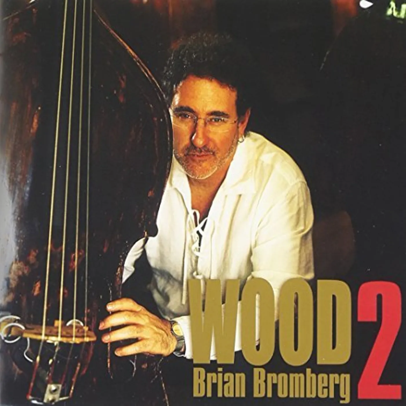 Brian Bromberg WOOD2 CD
