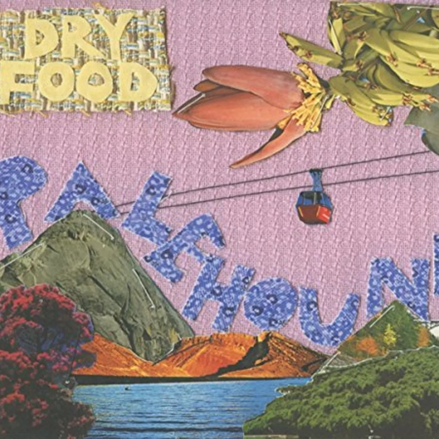 Palehound DRY FOOD CD
