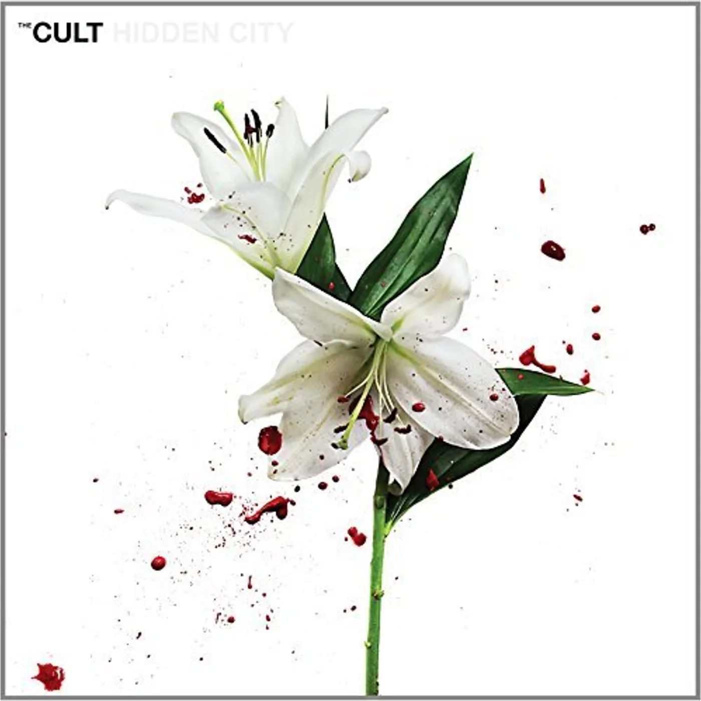 Cult Hidden City Vinyl Record