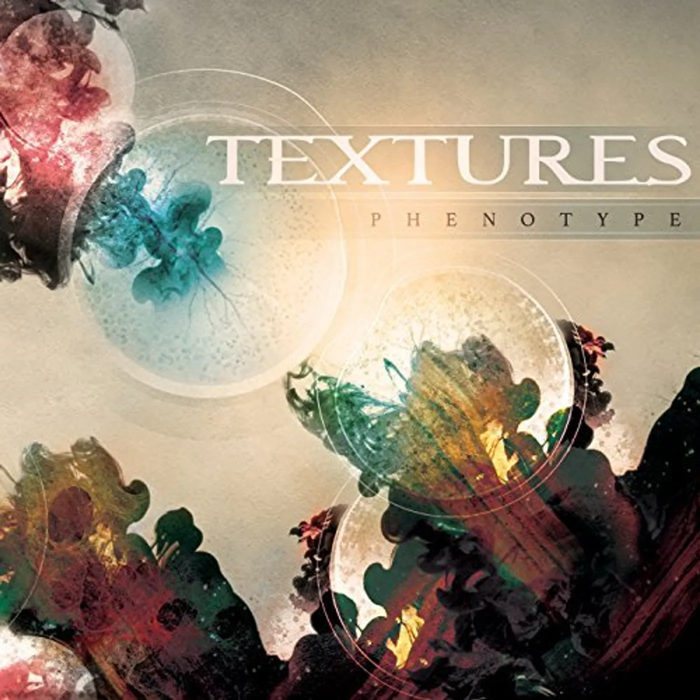 Textures PHENOTYPE CD