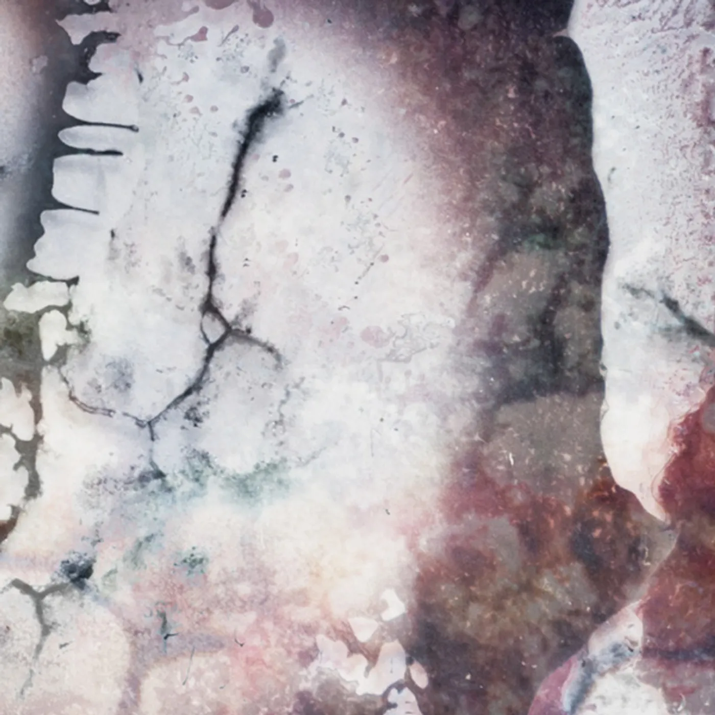 Multicast Dynamics OUTER ENVELOPES CD