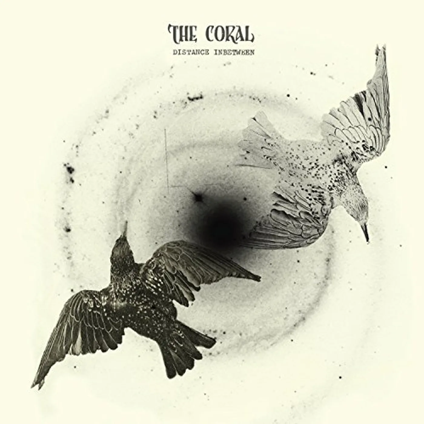 The Coral DISTANCE INBETWEEN Vinyl Record - UK Release