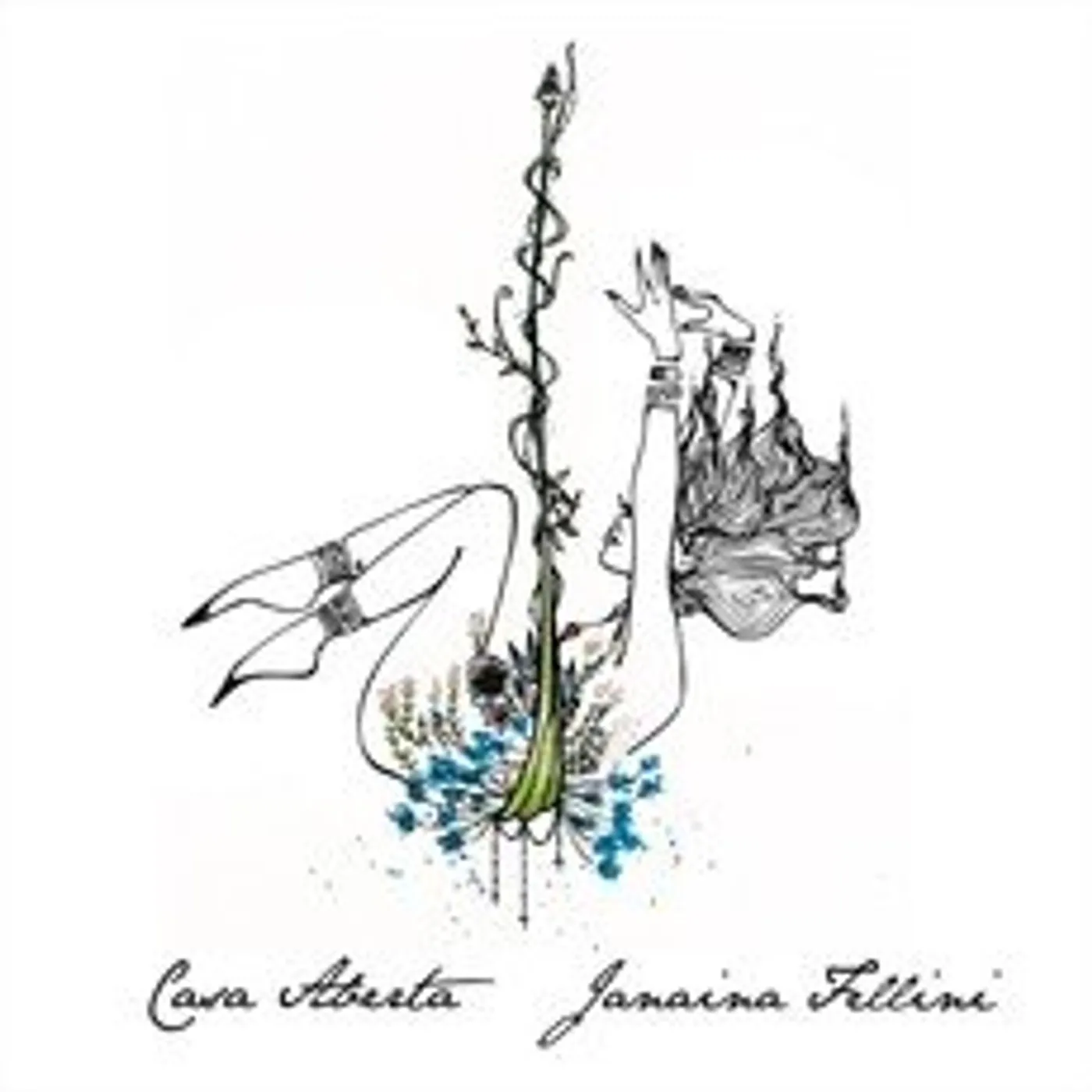 Janaina Fellini CASA ABERTA CD