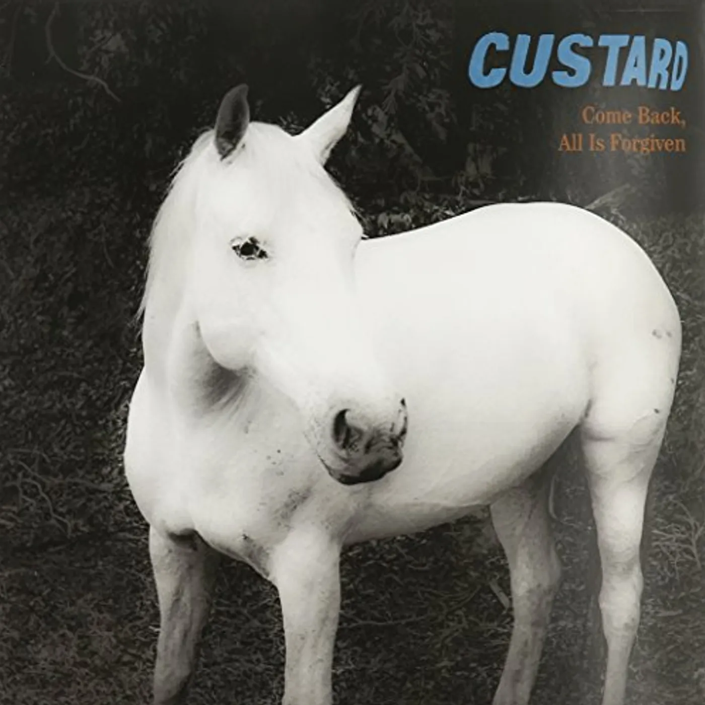 Custard COME BACK ALL IS FORGIVEN Vinyl Record