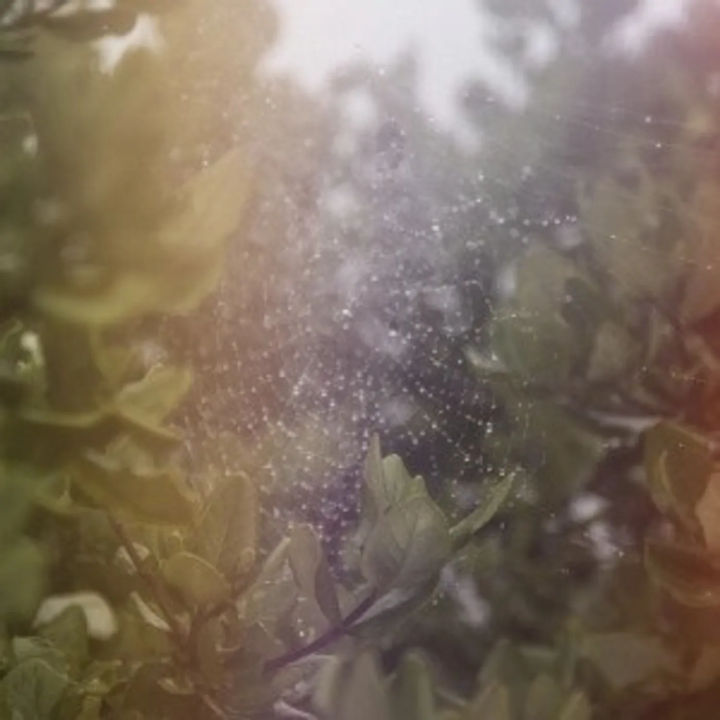 Posse PERFECT H / VOICES Vinyl Record