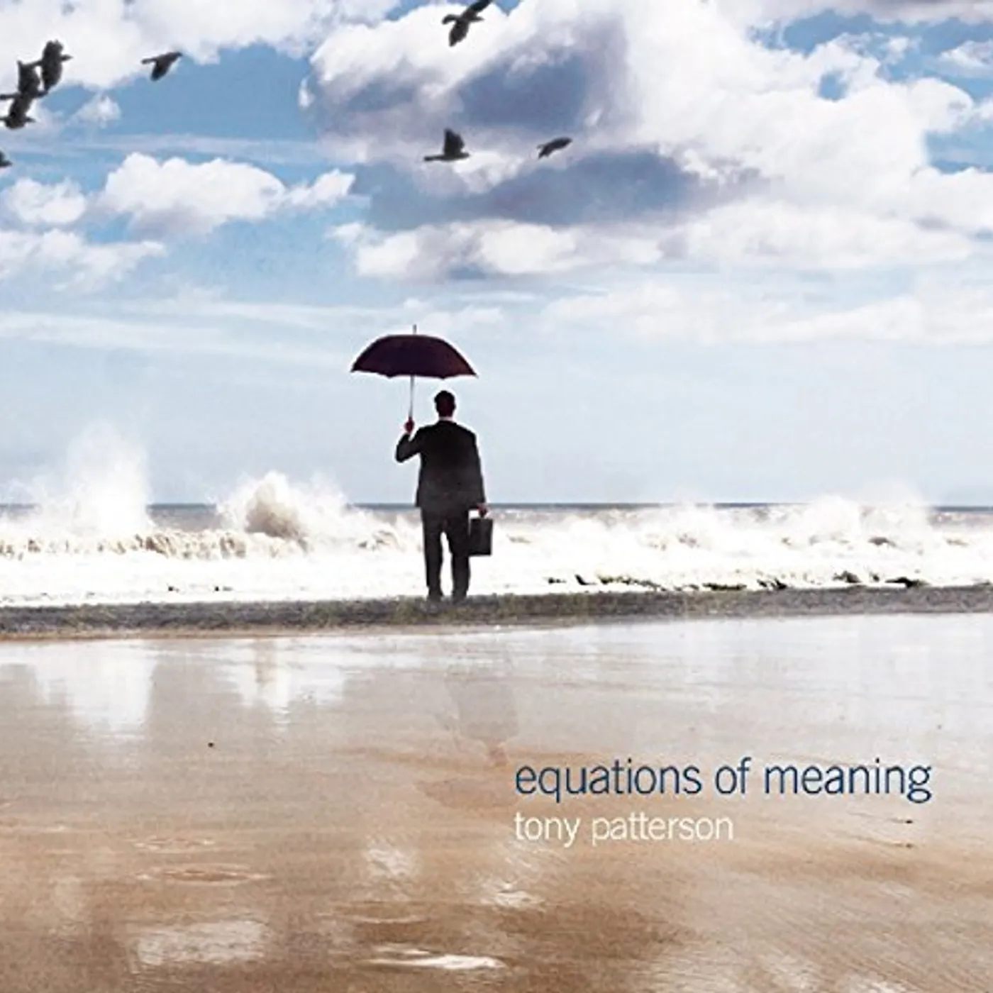 Tony Patterson EQUATIONS OF MEANING CD