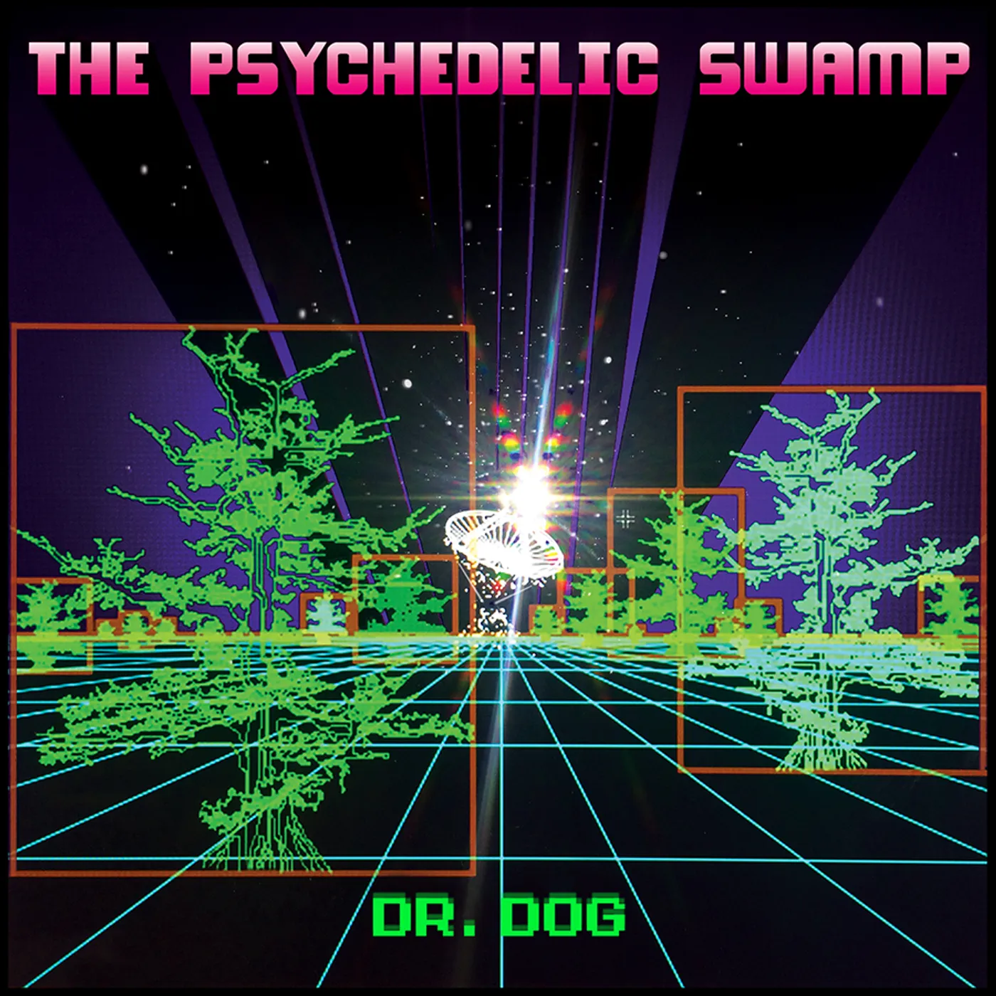 Dr. Dog PSYCHEDELIC SWAMP Vinyl Record