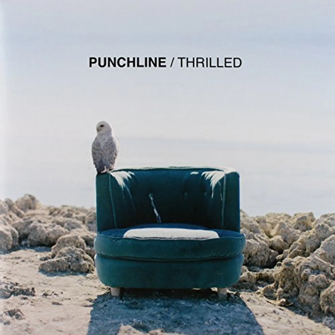 Punchline Thrilled Vinyl Record