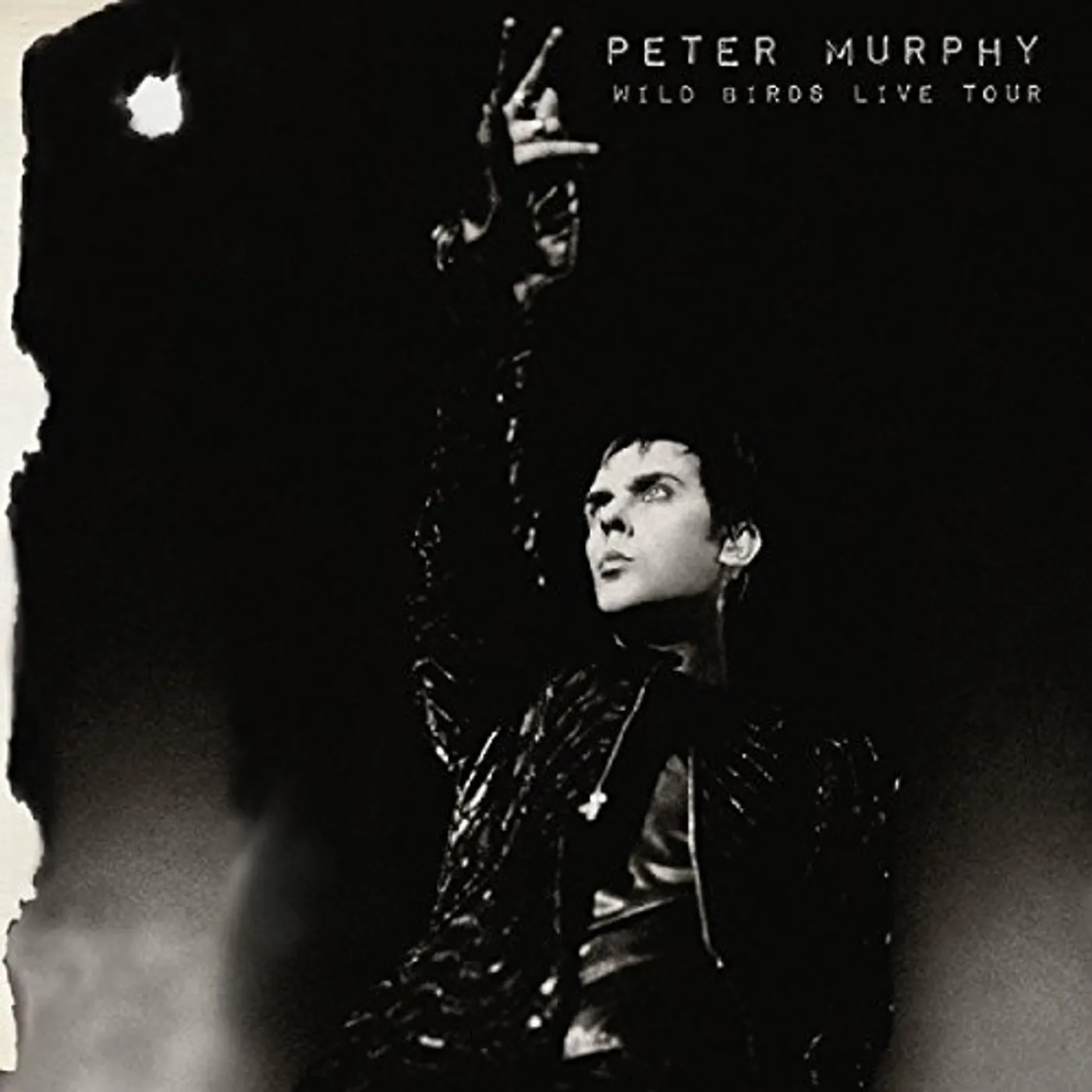 Peter Murphy Wild Birds Live Tour Vinyl Record