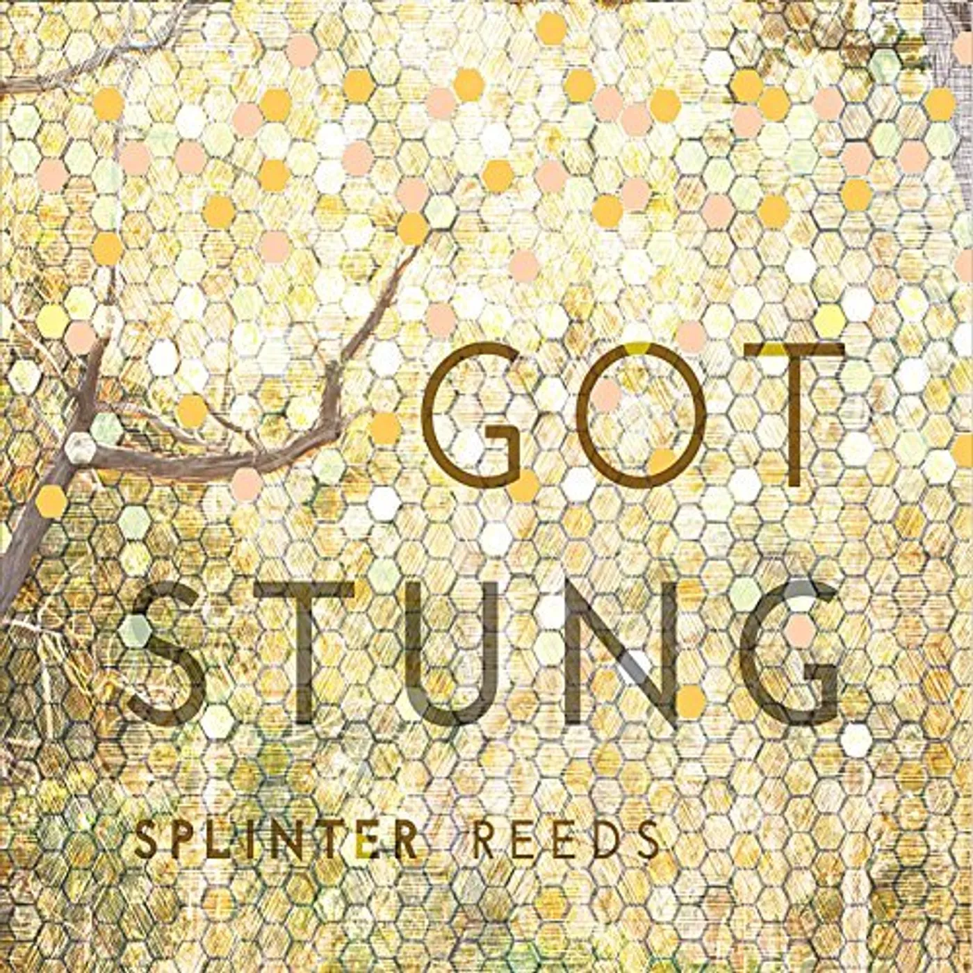 Splinter Reeds GOT STUNG CD