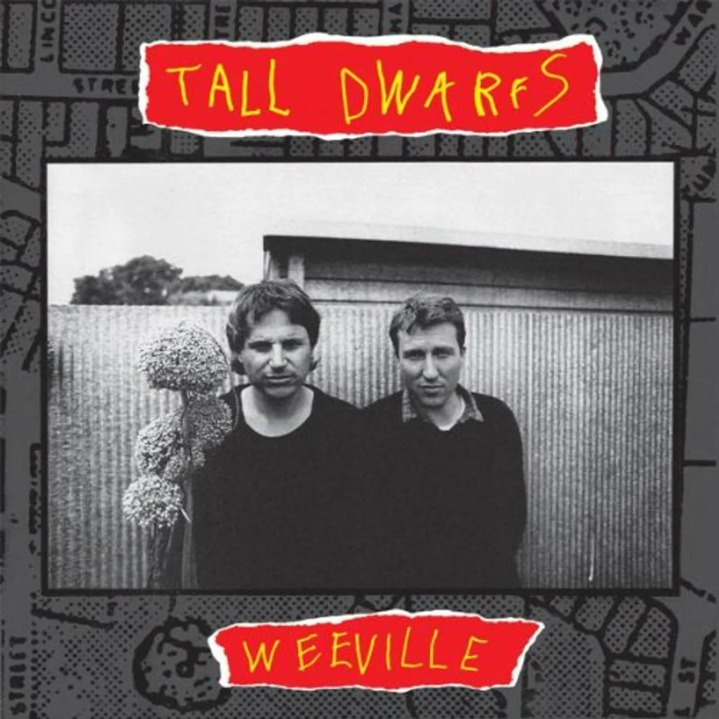 Tall Dwarfs Weeville Vinyl Record