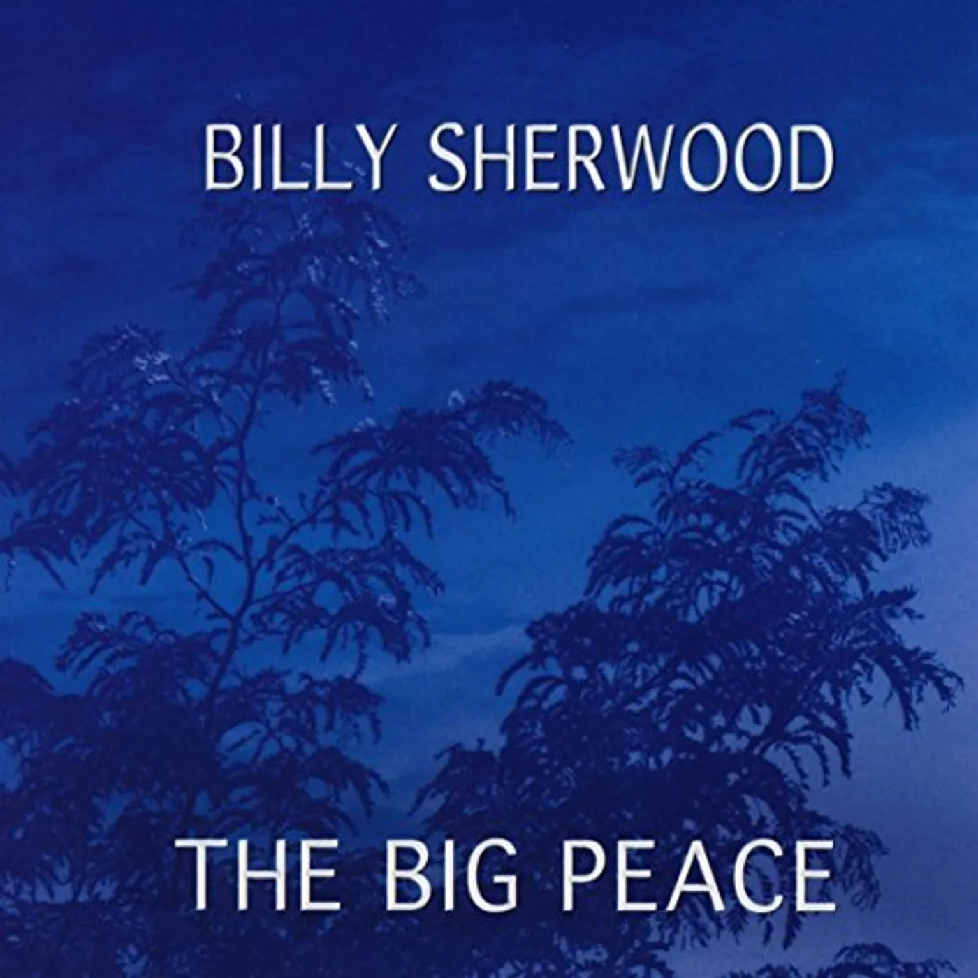 Billy Sherwood BIG PEACE CD