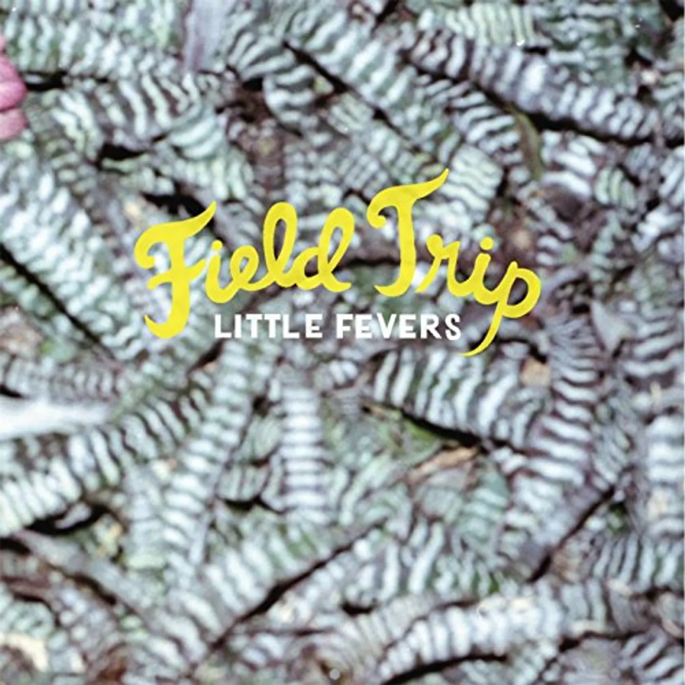 Little Fevers FIELD TRIP CD