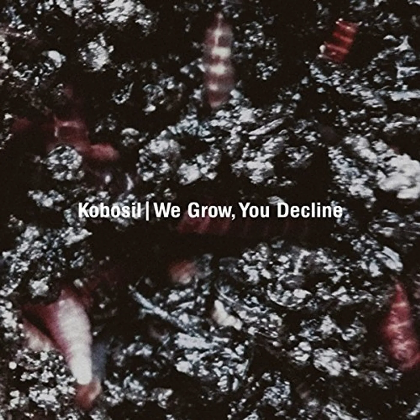 Kobosil WE GROW YOU DECLINE CD
