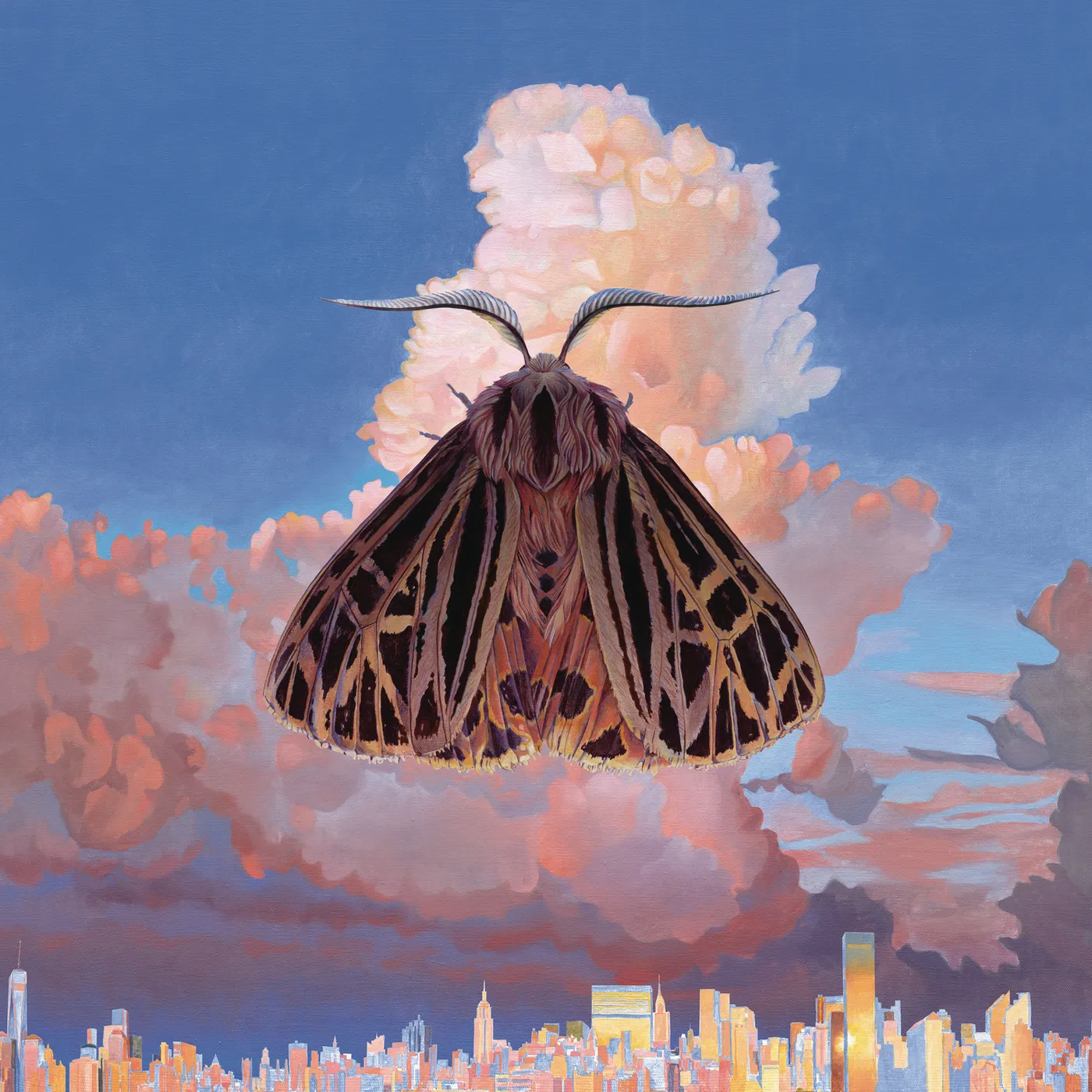 Chairlift Moth Vinyl Record
