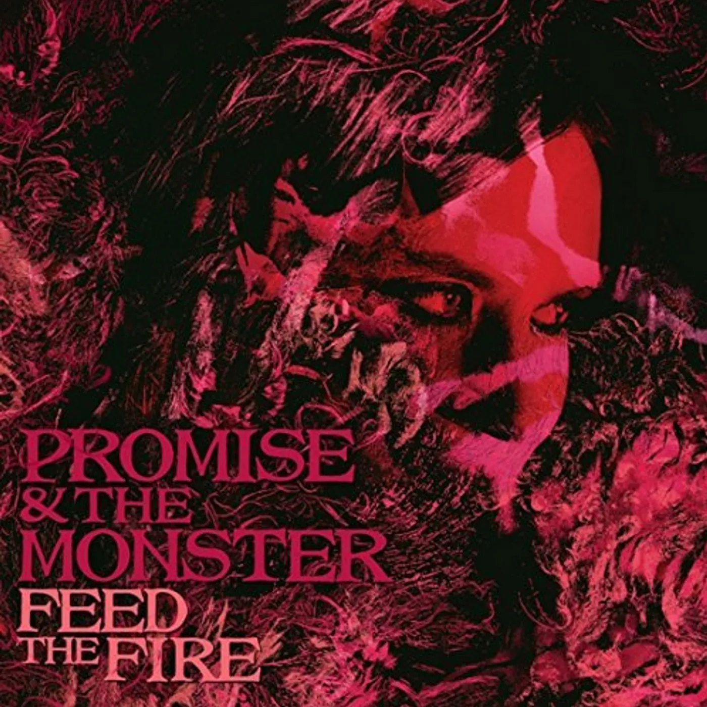Promise And The Monster Feed the Fire Vinyl Record