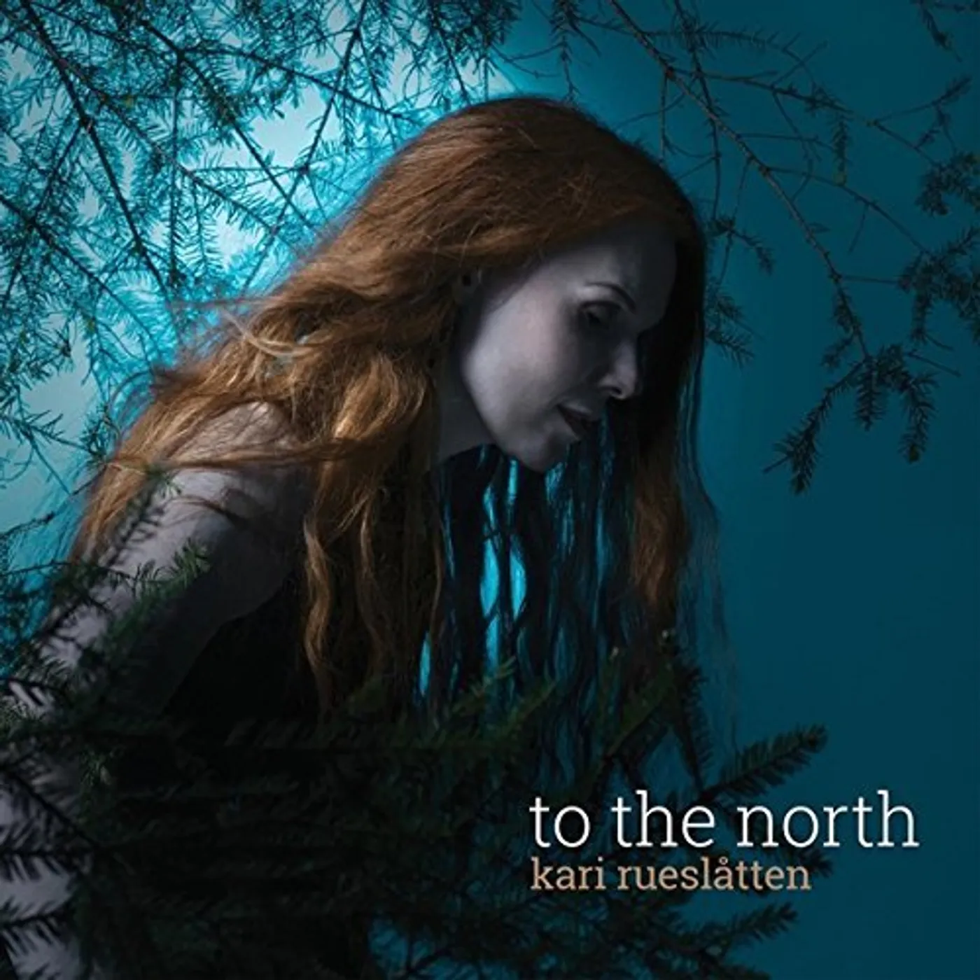 Kari Rueslåtten To The North Vinyl Record