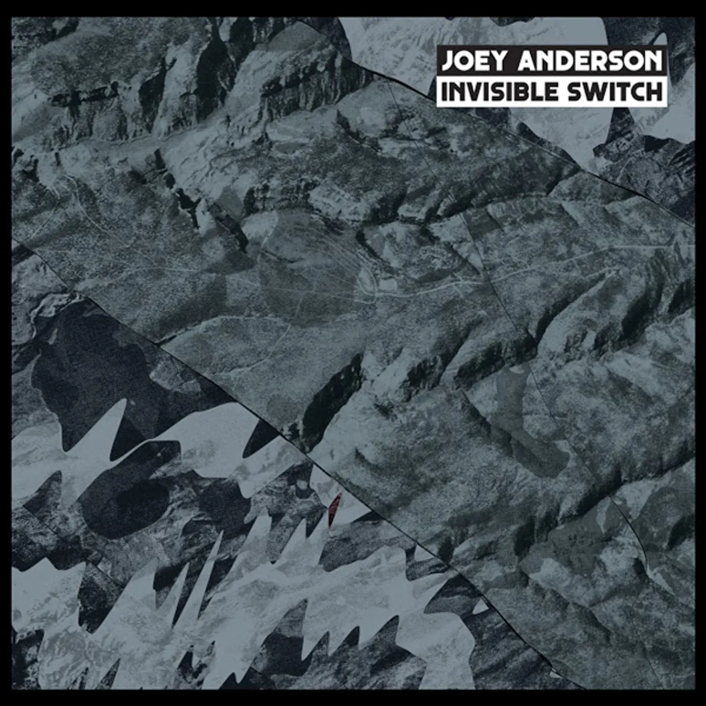 Joey Anderson Invisible Switch Vinyl Record