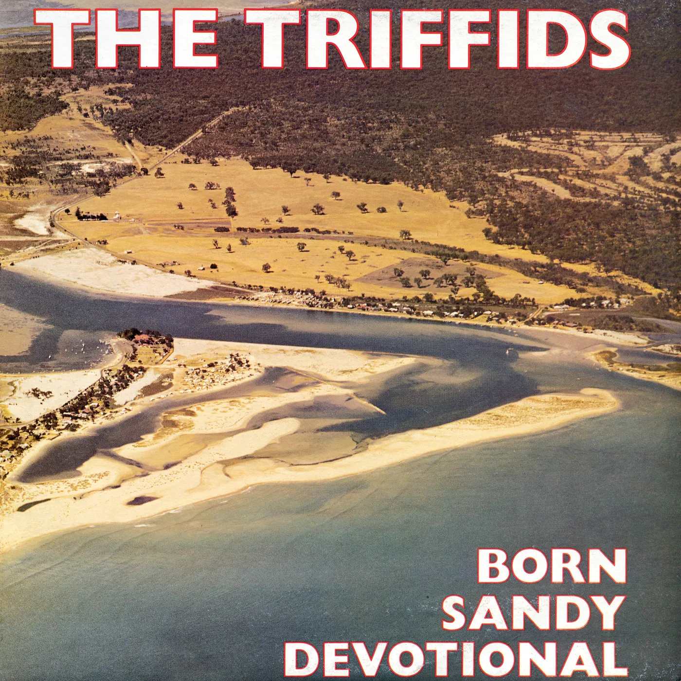 The Triffids Born Sandy Devotional Vinyl Record