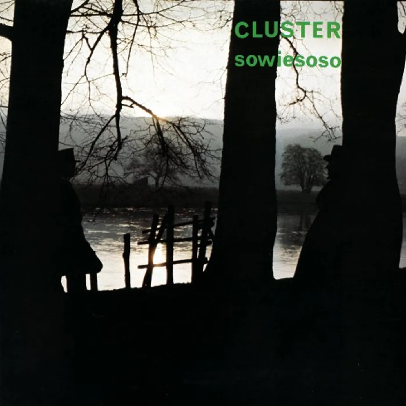 Cluster SOWIESOSO CD