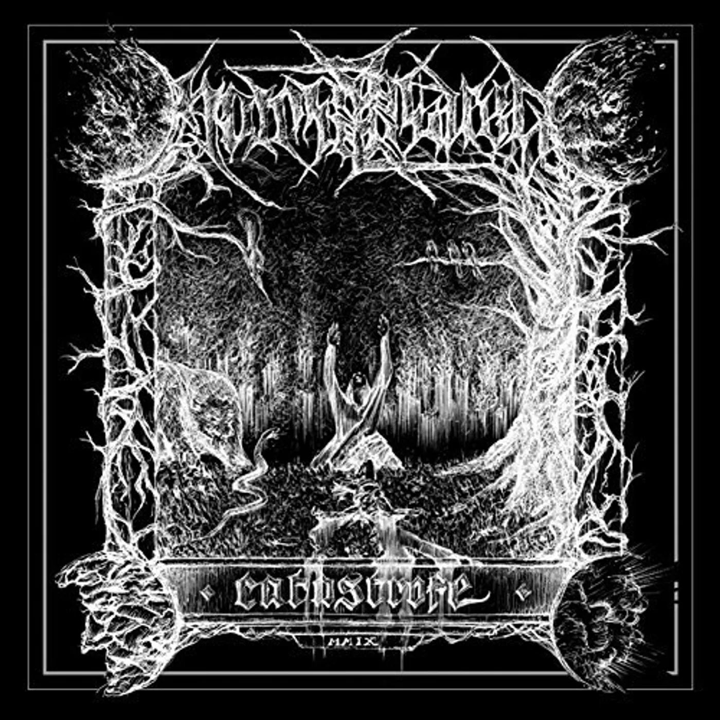 Homselvareg CATASTROFE CD