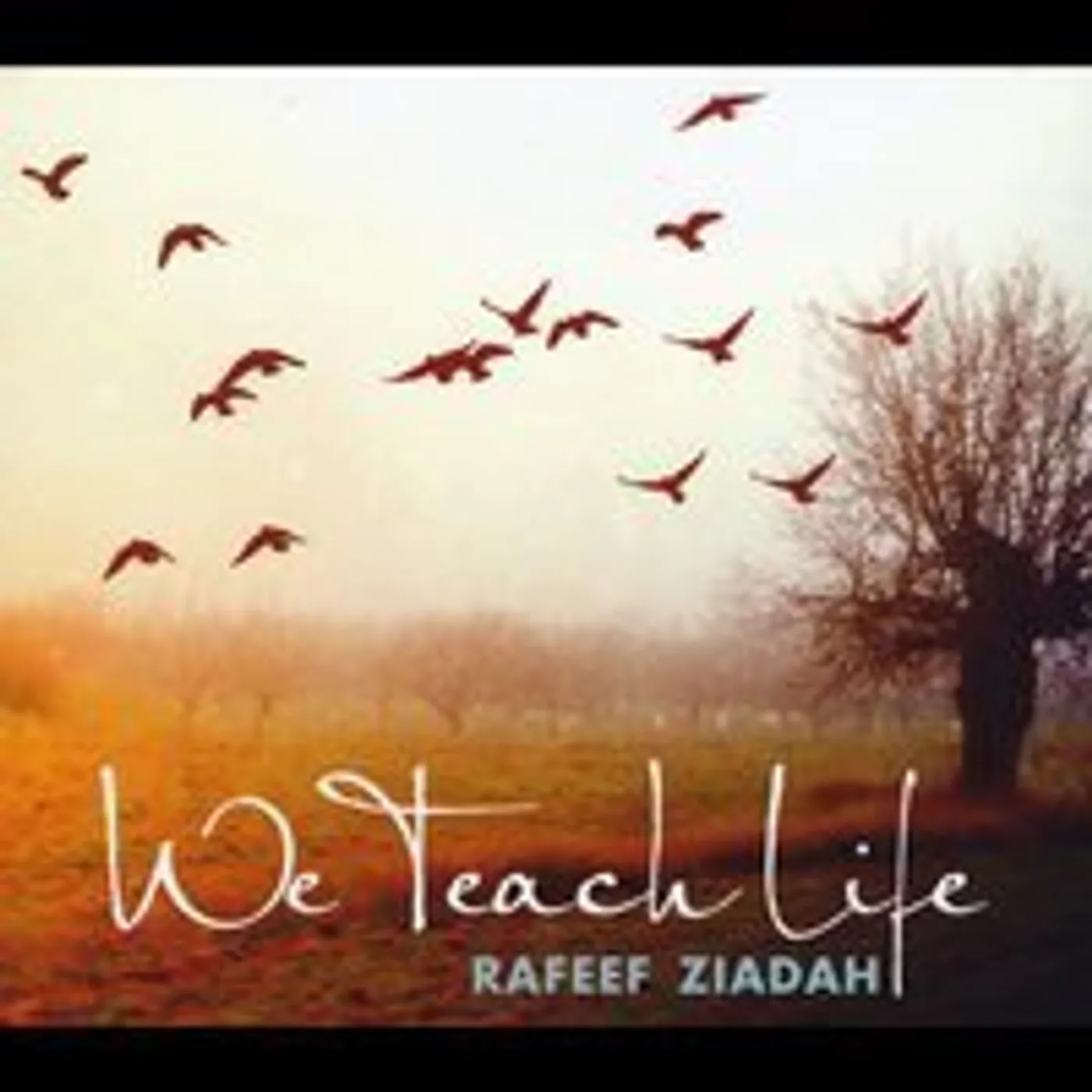 Rafeef Ziadah WE TEACH LIFE CD