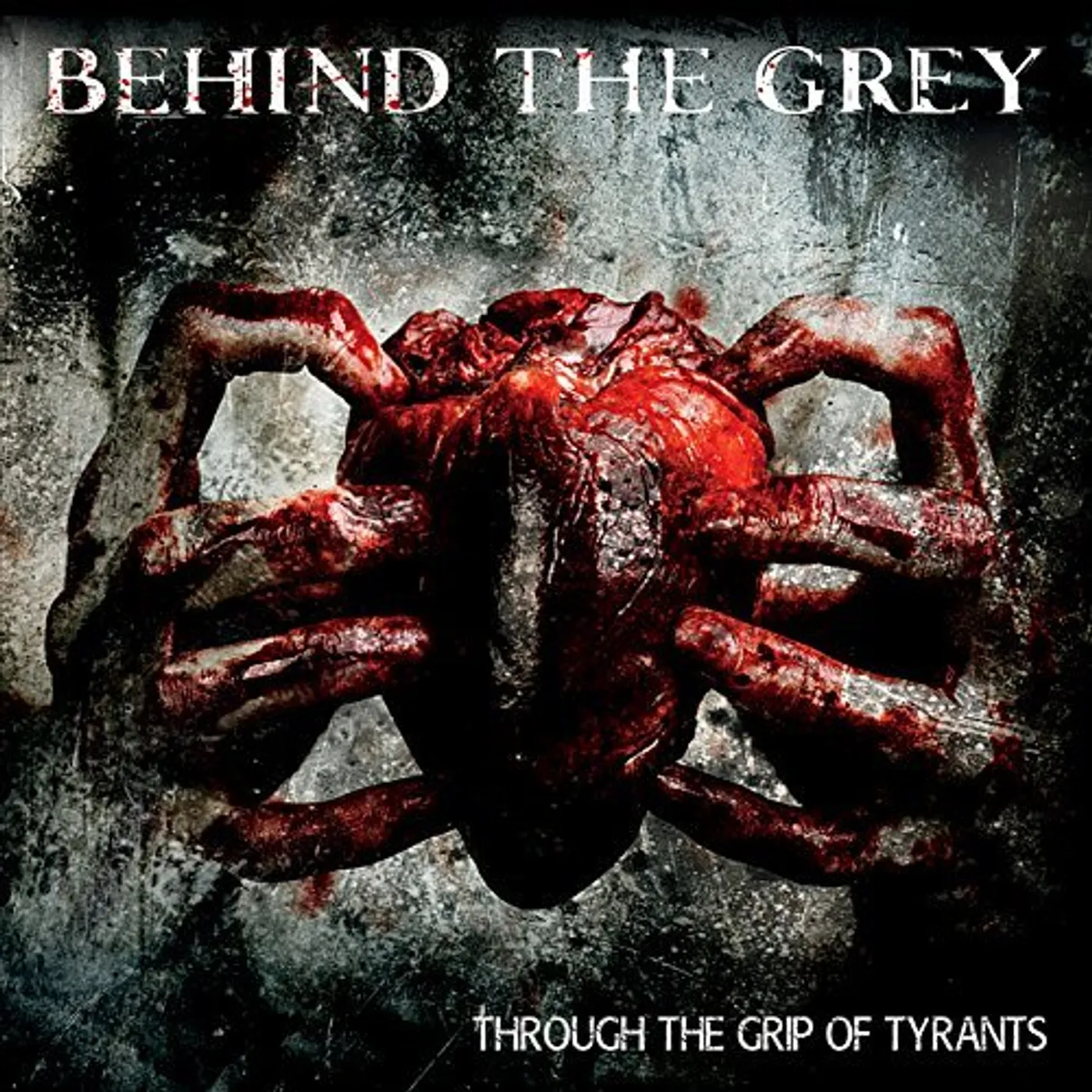 Behind the Grey THROUGH THE GRIP OF TYRANTS CD