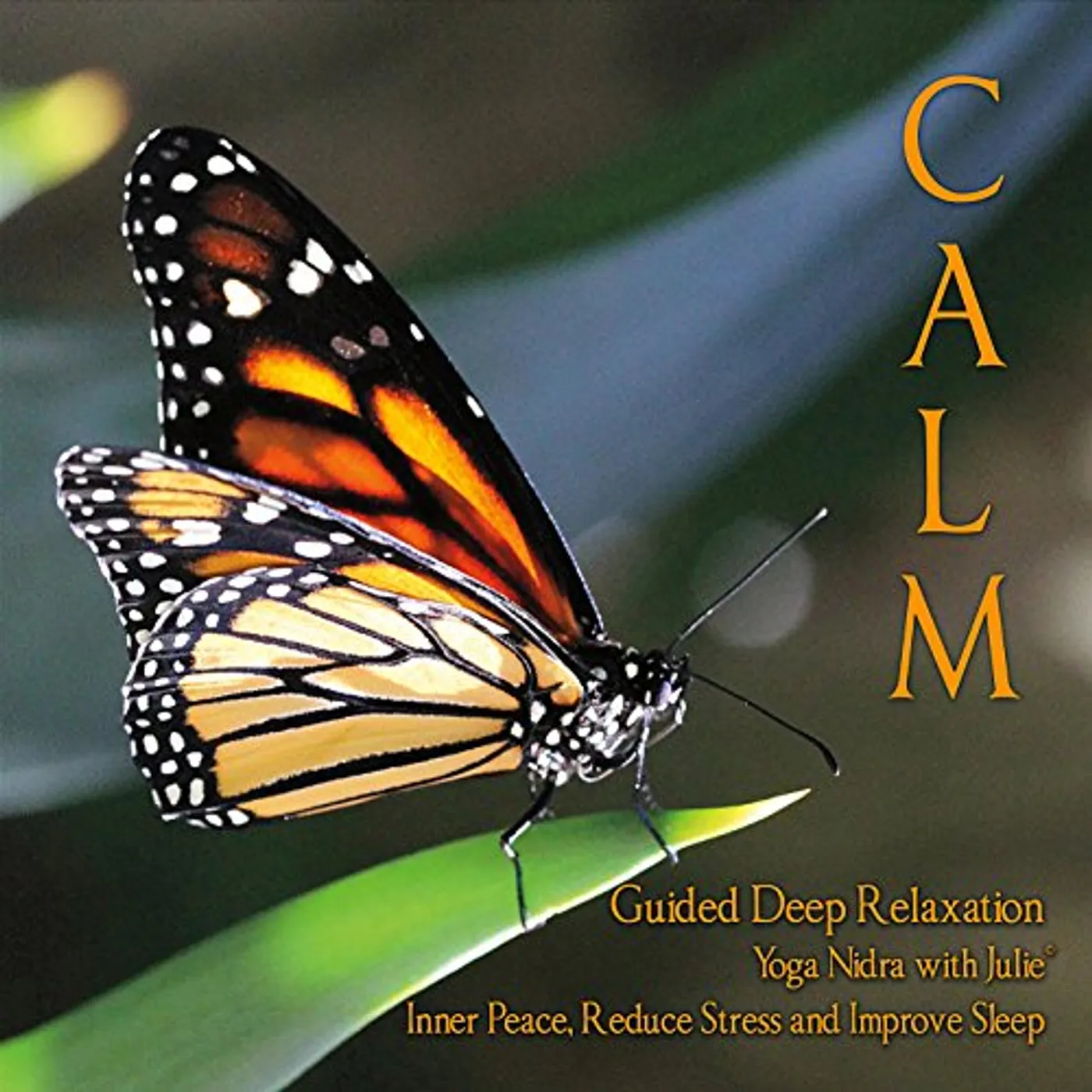 Julie Murphy CALM - YOGA NIDRA WITH JULIE - GUIDED RELAXATION CD
