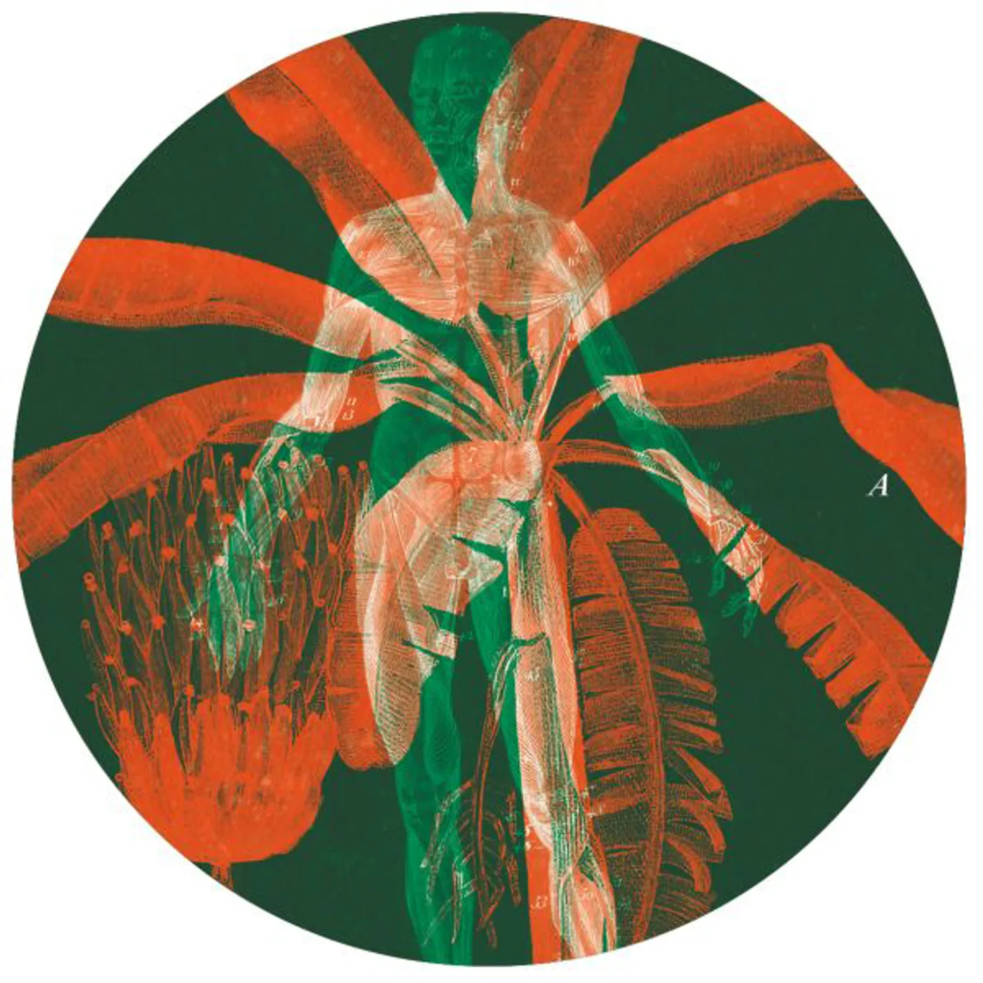 Hugh Mane Control Drama Vinyl Record