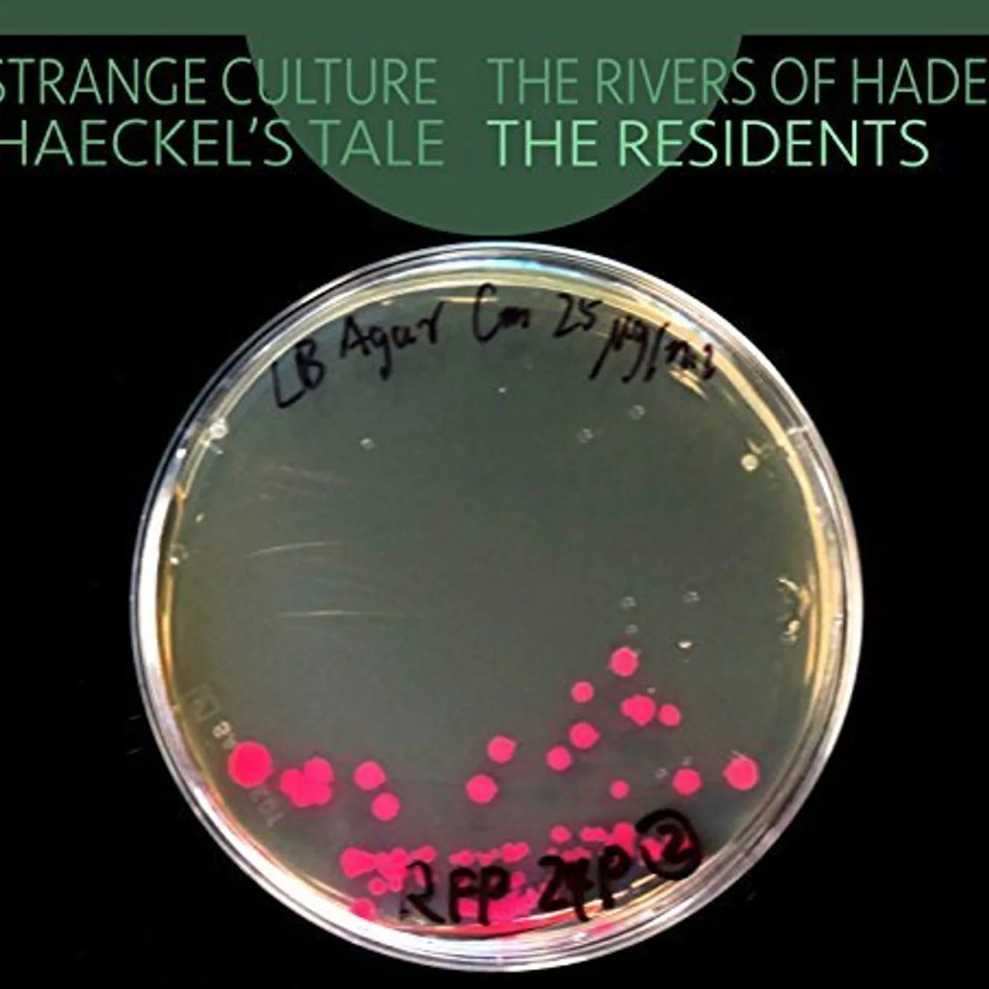 The Residents - STRANGE CULTURE / RIVERS OF HADES CD