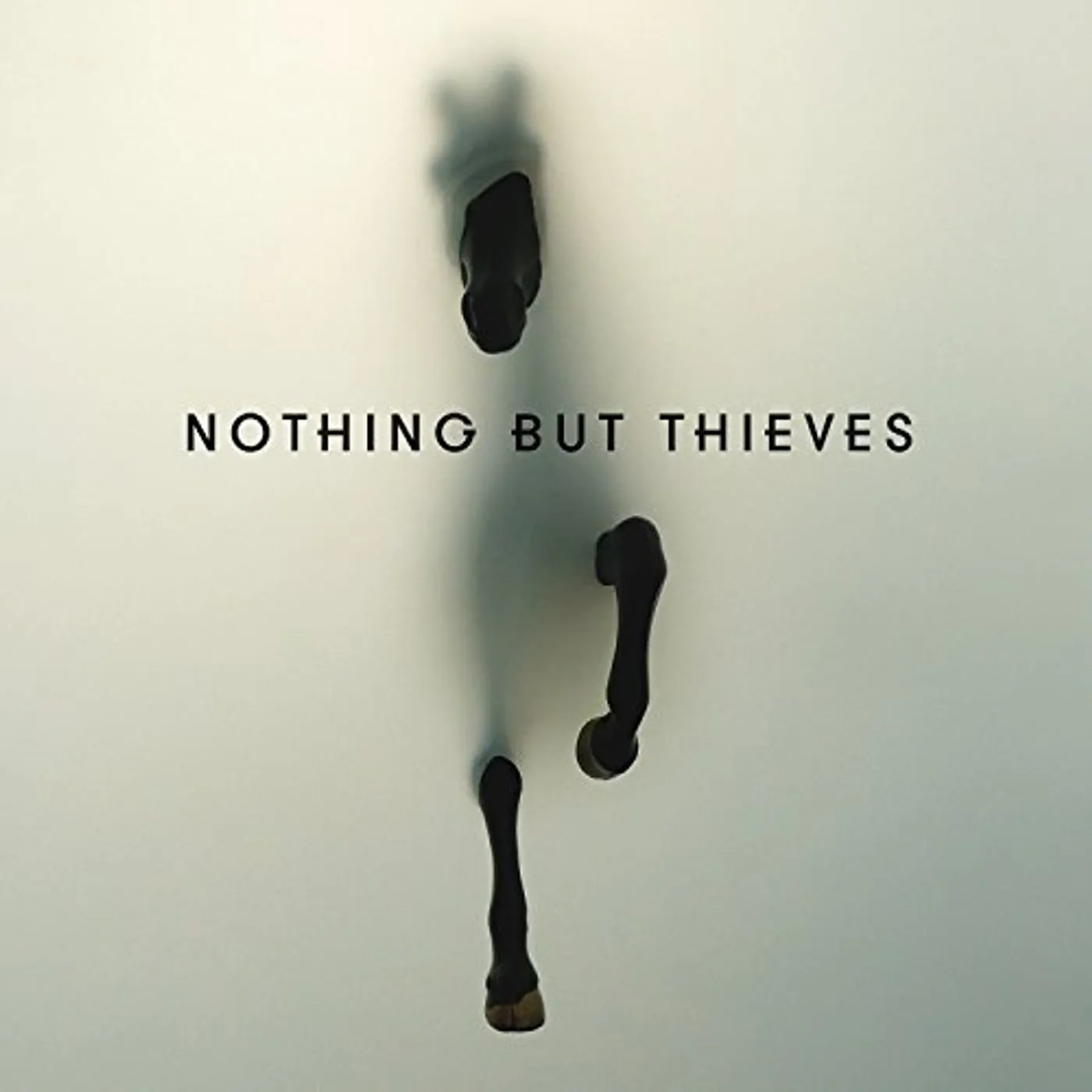 Nothing But Thieves Vinyl Record