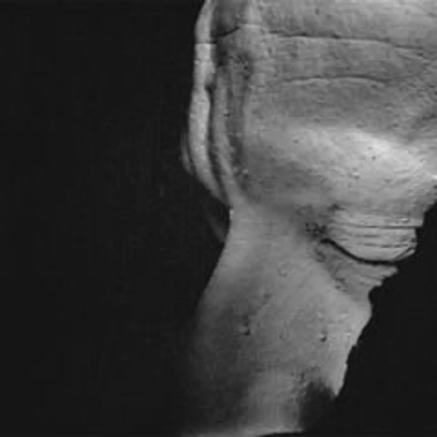 Chve Rasa Vinyl Record