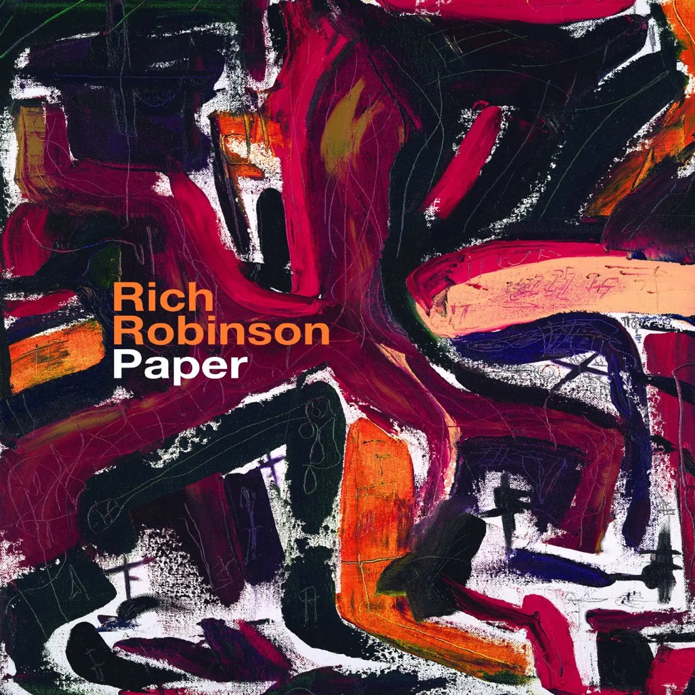 Rich Robinson Paper Vinyl Record