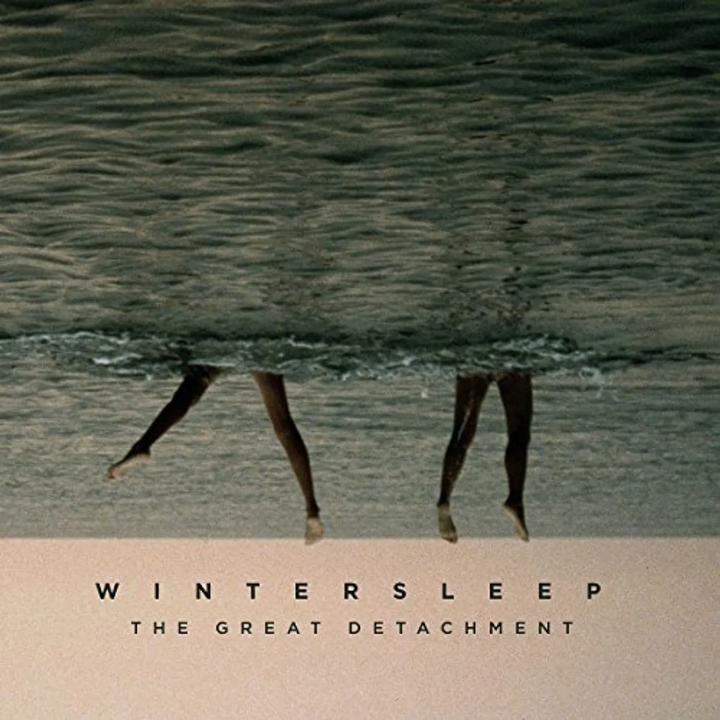 Wintersleep GREAT DETACHMENT CD