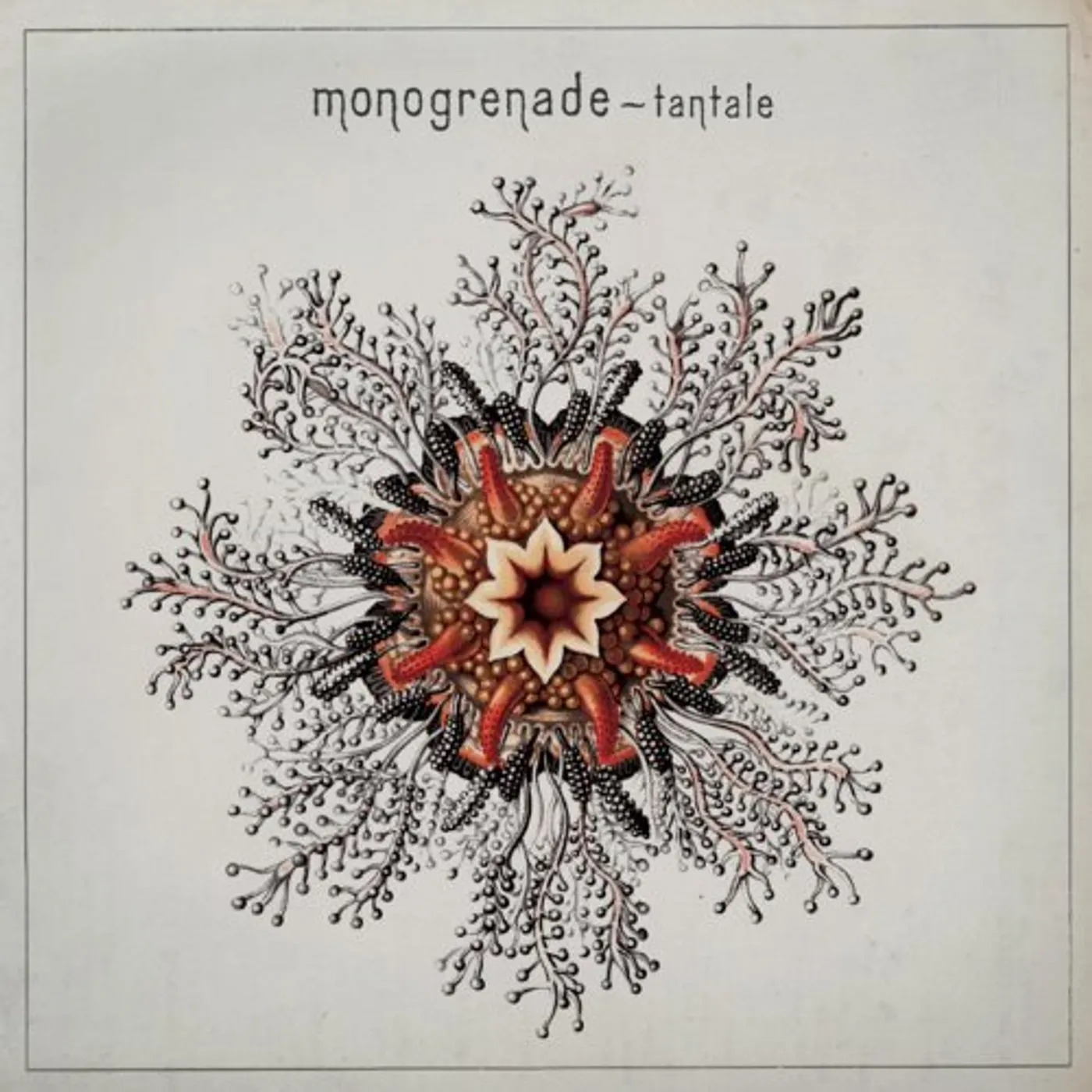 Monogrenade TANTALE CD