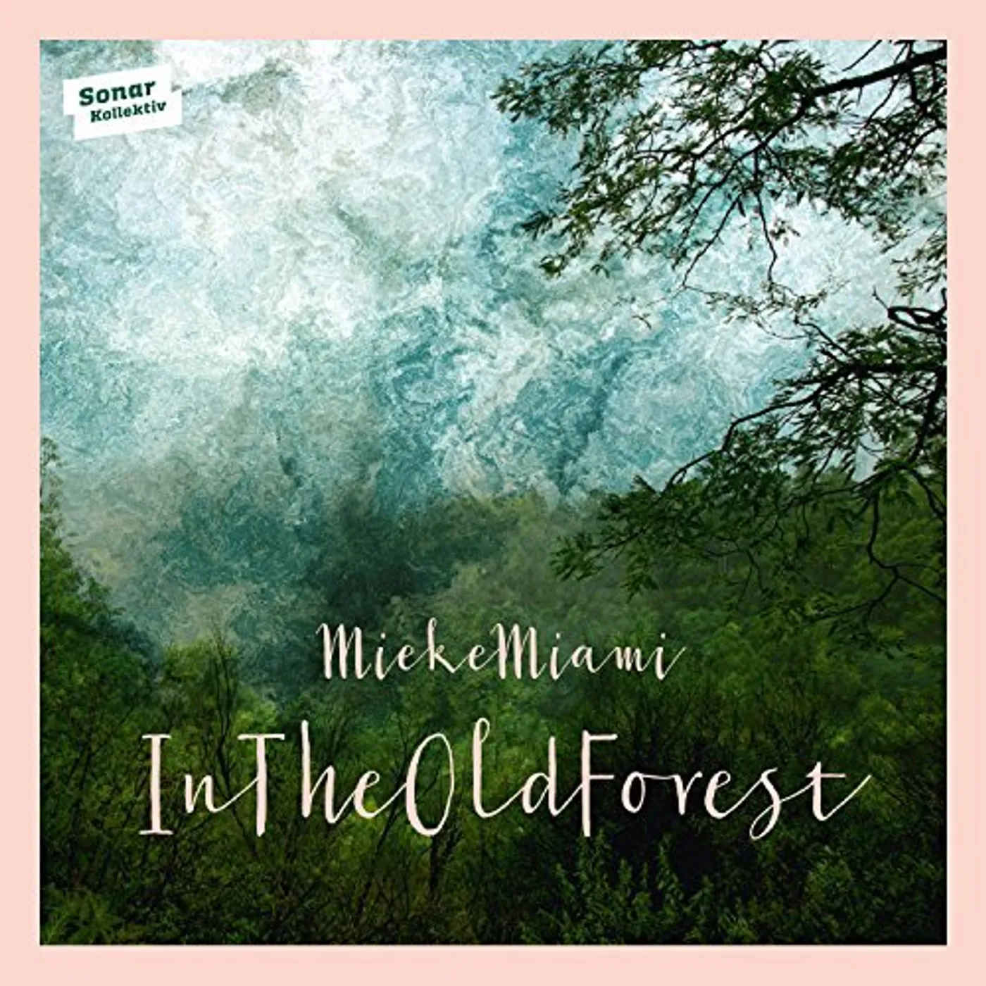 Mieke Miami IN THE OLD FOREST CD