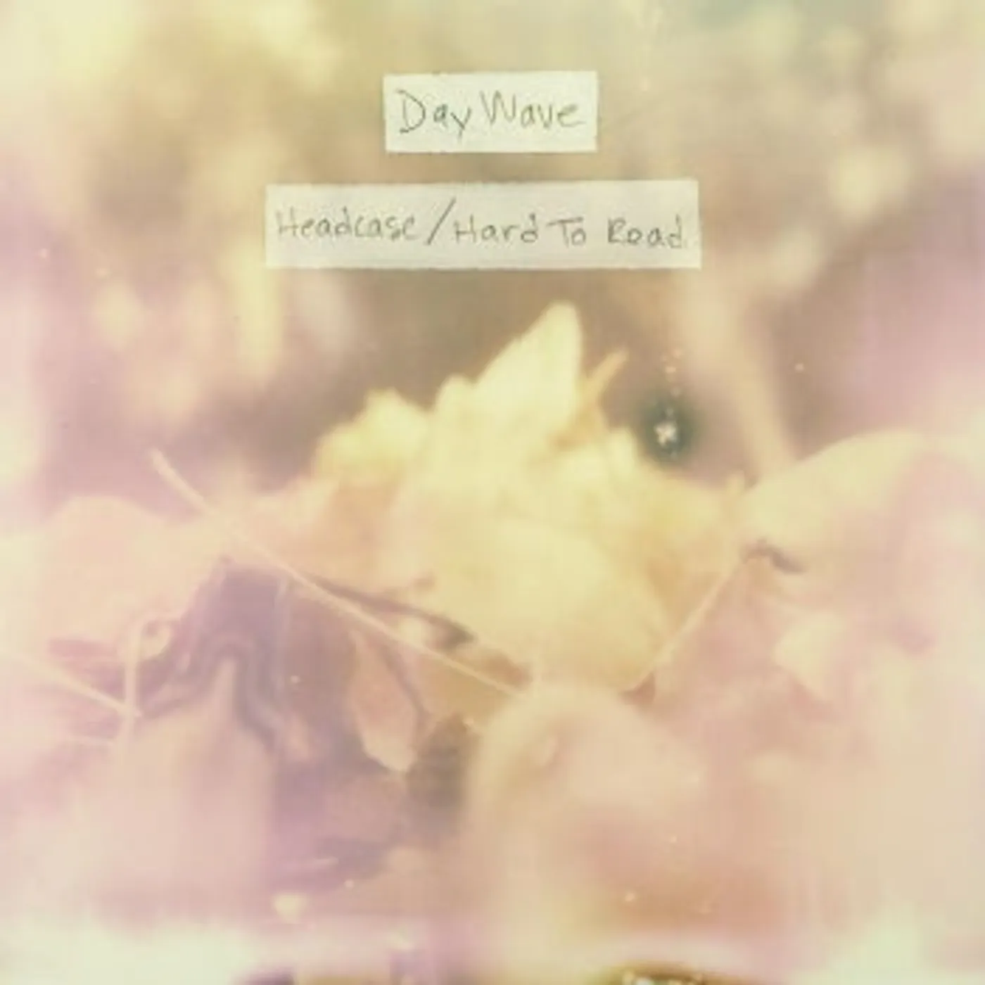 Day Wave HEADCASE / HARD TO READ CD