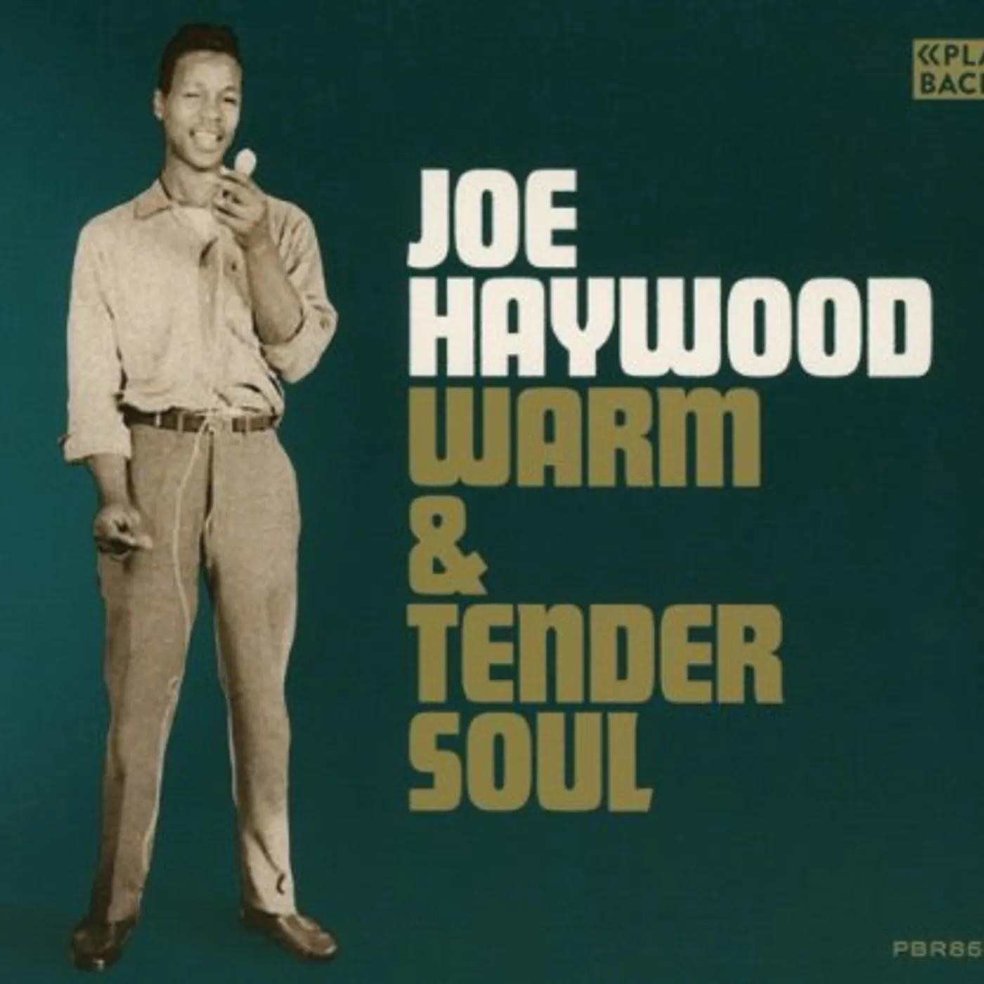 Joe Haywood WARM & TENDER SOUL CD
