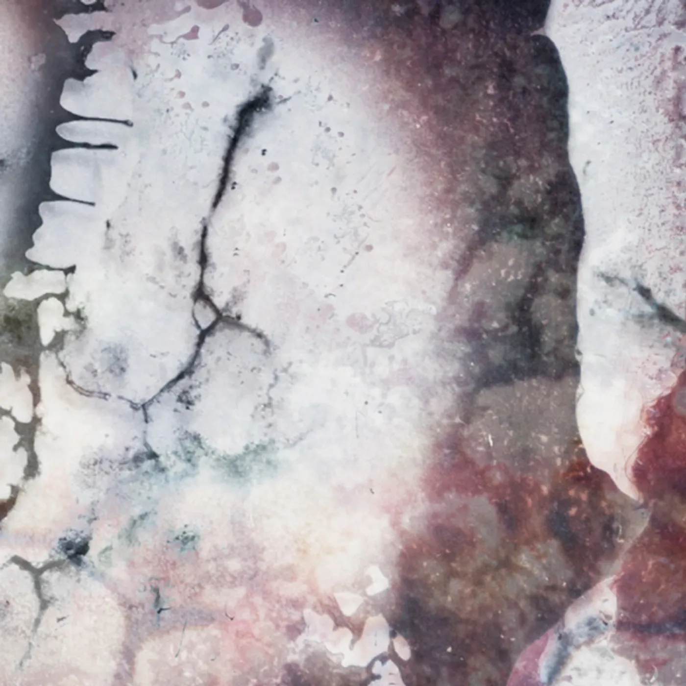 Multicast Dynamics Outer Envelopes Vinyl Record