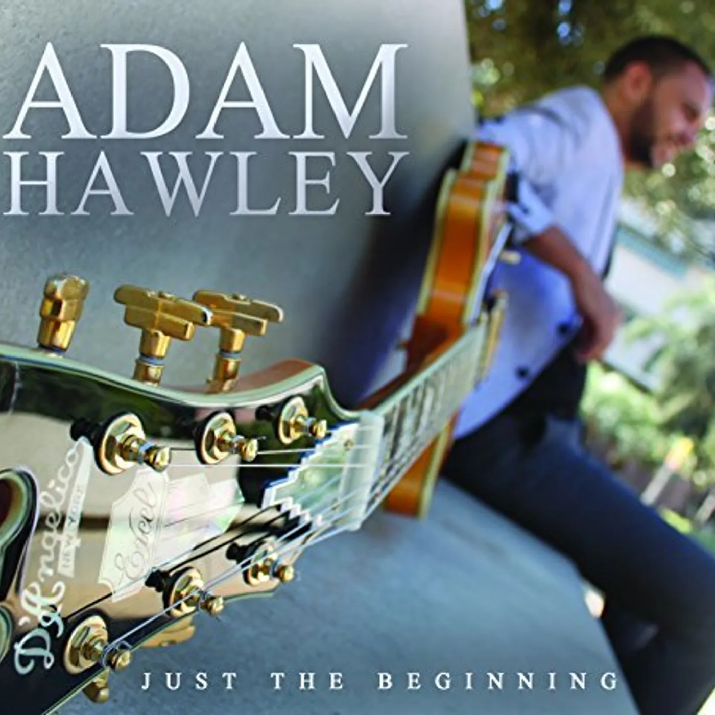 Adam Hawley JUST THE BEGINNING CD