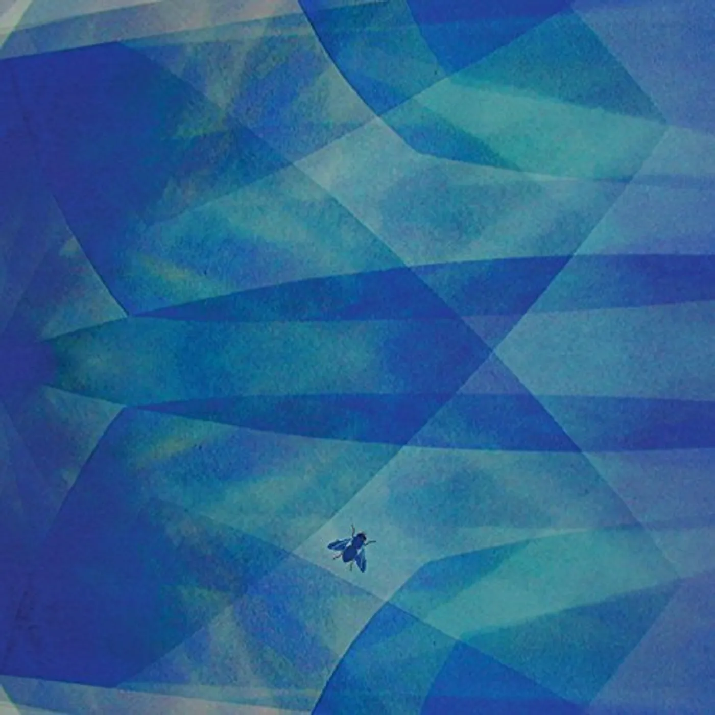 Cyro Baptista BLUEFLY CD