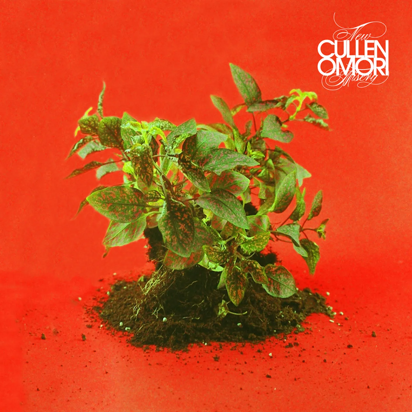 Cullen Omori NEW MISERY CD