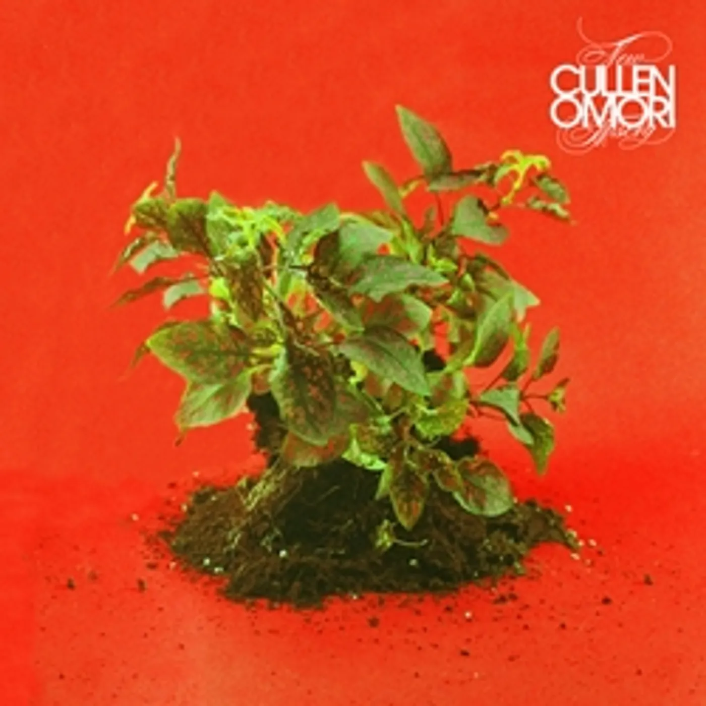 Cullen Omori New Misery Vinyl Record