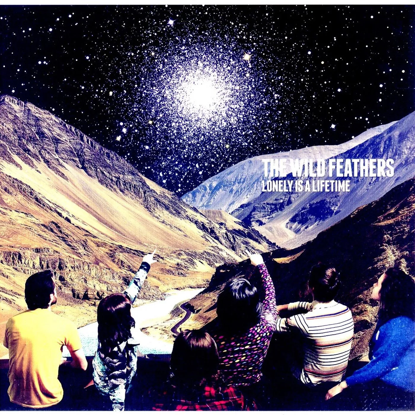 The Wild Feathers Lonely Is A Lifetime Vinyl Record
