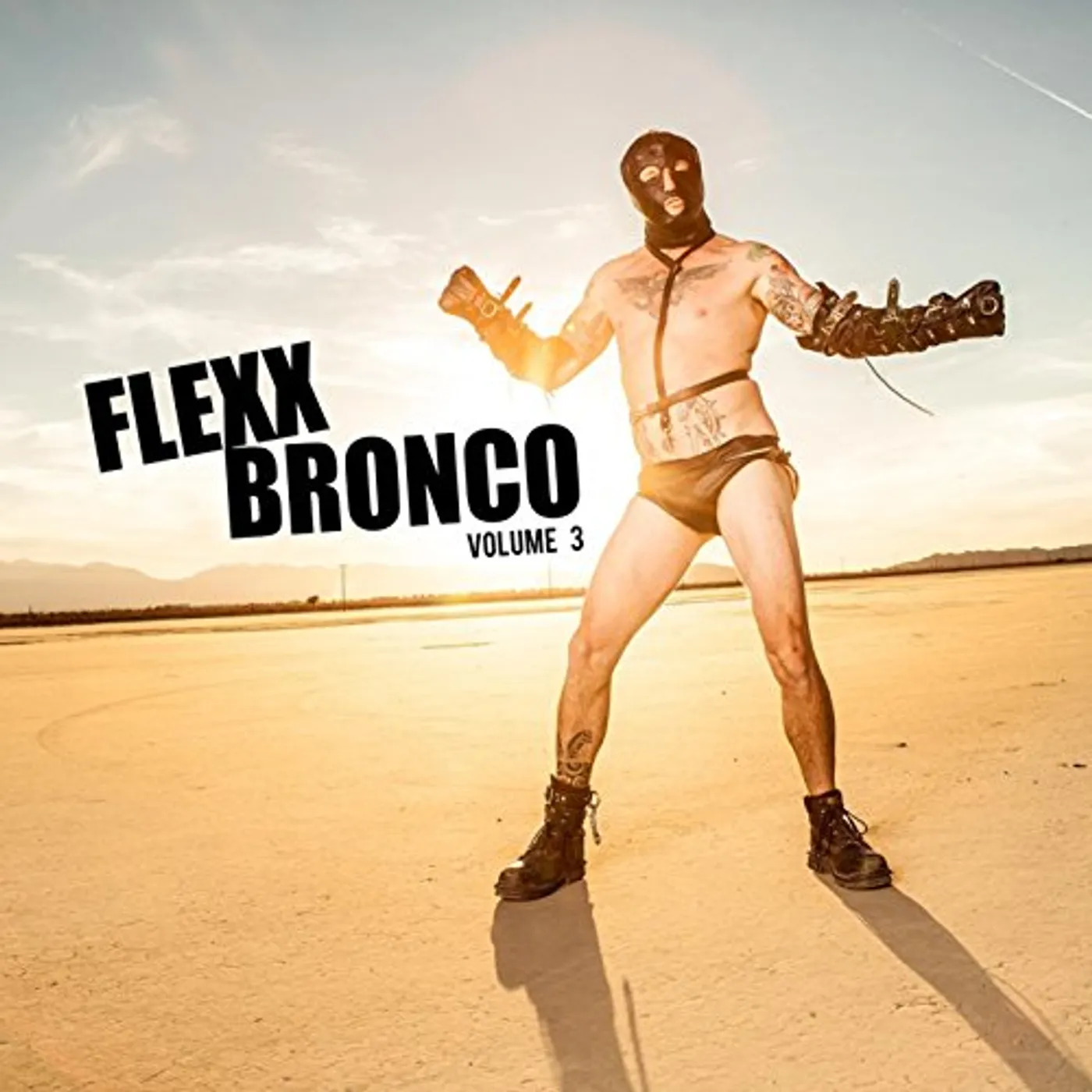 Flexx Bronco VOLUME 3 Vinyl Record