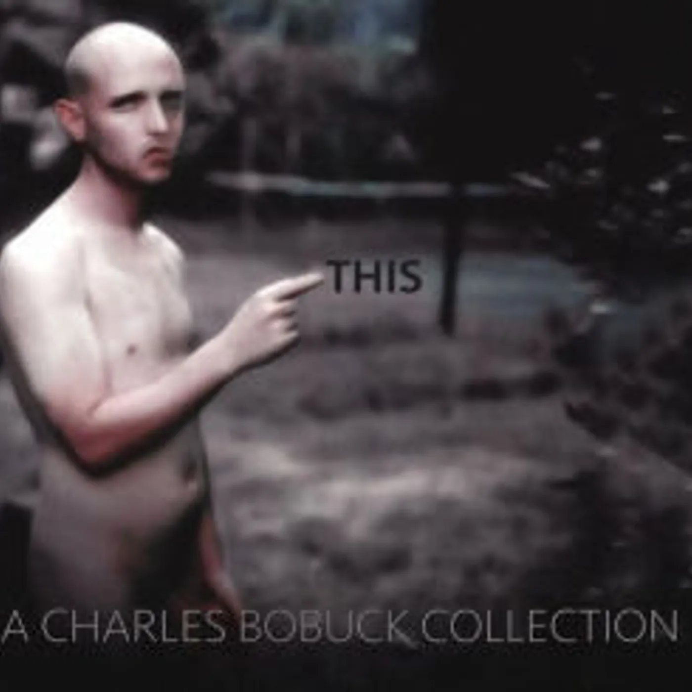 Charles Bobuck THIS CD