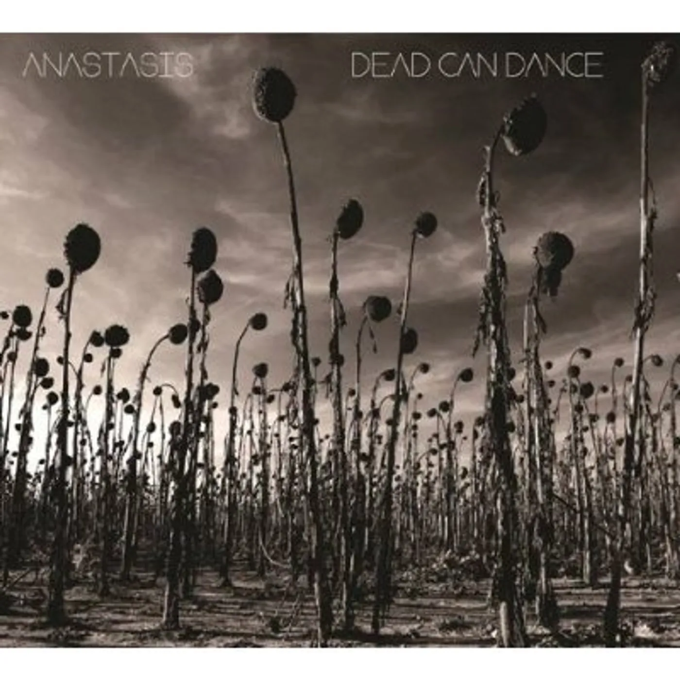 Dead Can Dance Anastasis Vinyl Record